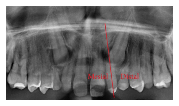 Figure 6