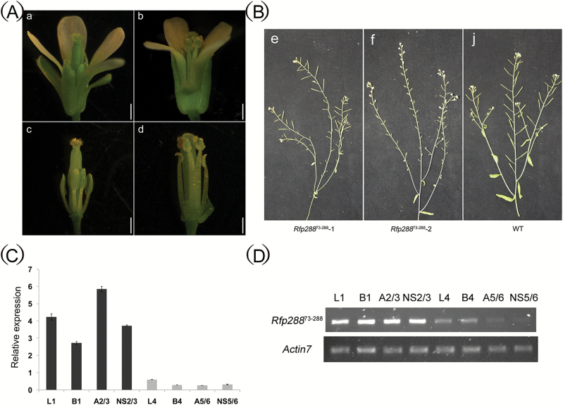 Fig. 7.