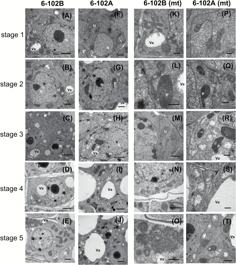 Fig. 3.