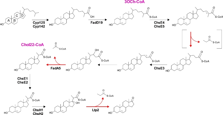 Figure 2.