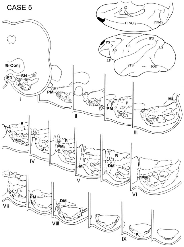 Fig. 7.