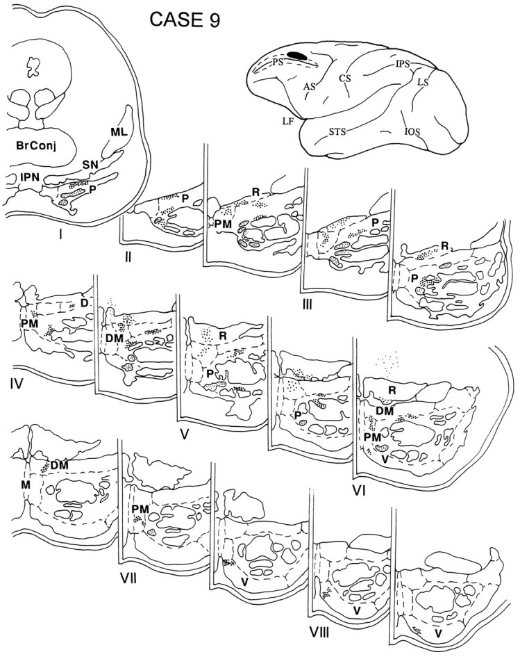 Fig. 10.