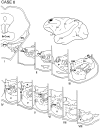 Fig. 8.