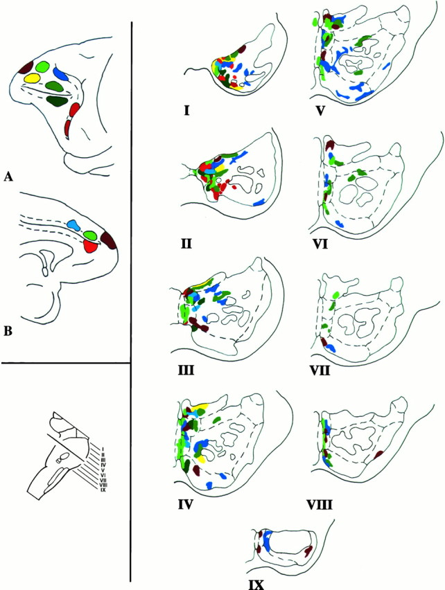 Fig. 17.