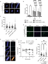 Figure 6