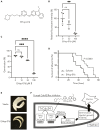 Figure 7