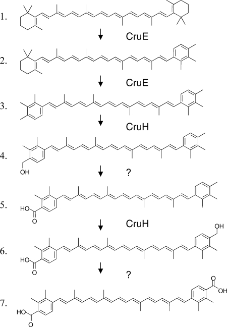 FIG. 8.