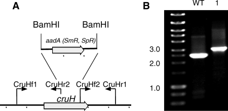 FIG. 6.