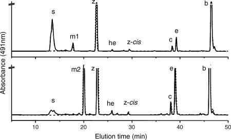 FIG. 2.