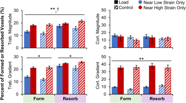 Percent of trabecular (left) and cortical (right) formation and resorption sites near very high or very low strain magnitude (top) and gradient (bottom) elements for the load (n = 11) and control (n = 10) groups. Data presented as group means (error bars: SEM). *Given significant strain by adaptation interaction, indicates significant difference between very low and very high strain within formation or resorption for both groups. **Indicates significant main effect of strain level (very high versus very low). †Indicates significant main effect of adaptation type (form versus resorb).