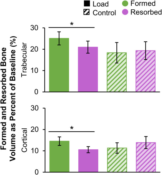 Formed and resorbed bone volume, presented as a percent of baseline bone volume, within the trabecular (top) and cortical (bottom) compartments for the load (n = 11) and control (n = 10) groups (error bars: standard error of the mean (SEM)). *Given significant adaptation by group interaction, indicates significant difference between formed and resorbed volume within the load group.