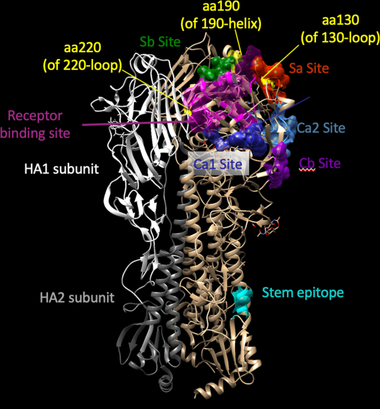 Figure 1.