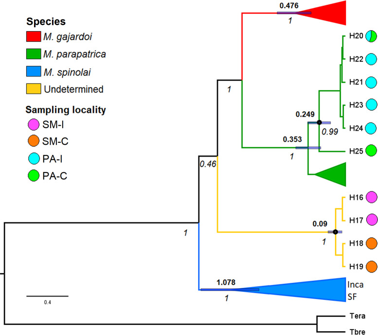 Fig 2