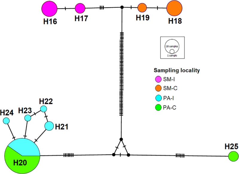 Fig 3