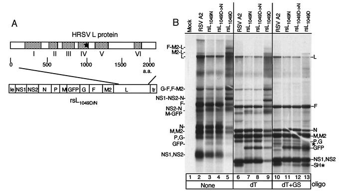 FIG. 1.