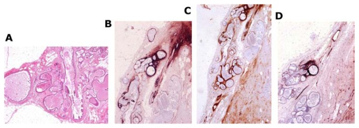 Figure 18