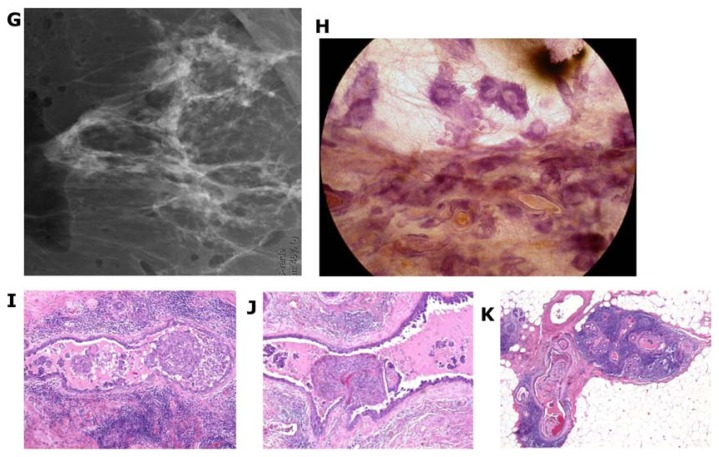 Figure 23