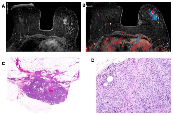 Figure 28