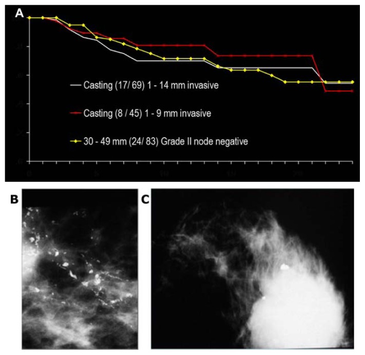 Figure 24