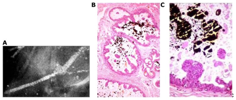 Figure 16