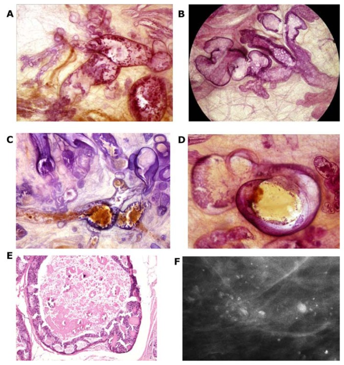 Figure 20