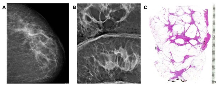 Figure 27