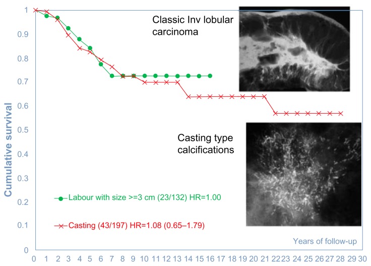 Figure 30