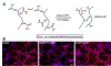 Figure 23.