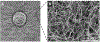 Figure 17.