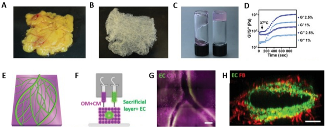 Figure 26.