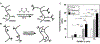 Figure 20.