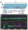 Figure 16.