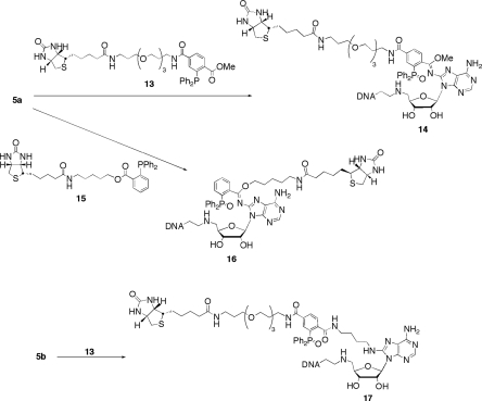 Scheme 4