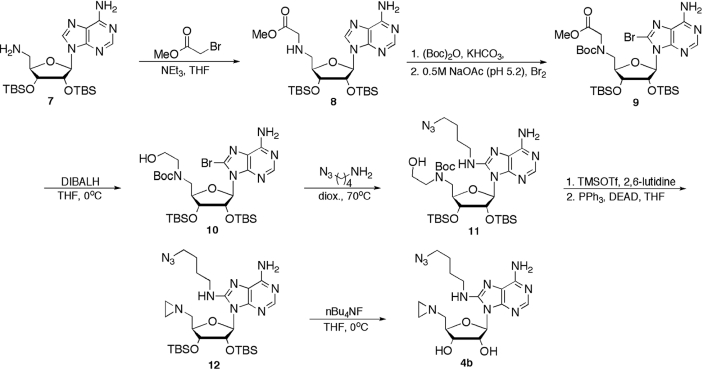 Scheme 3