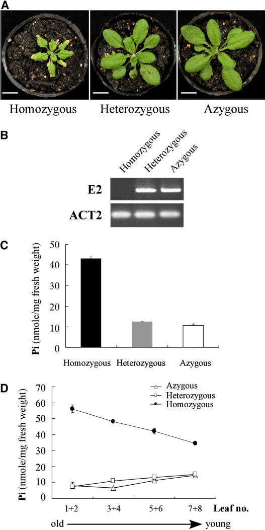 Figure 7.