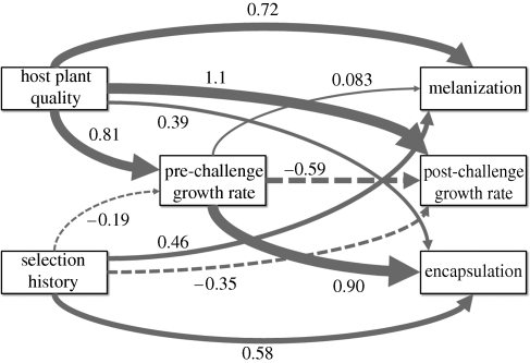 Figure 1.