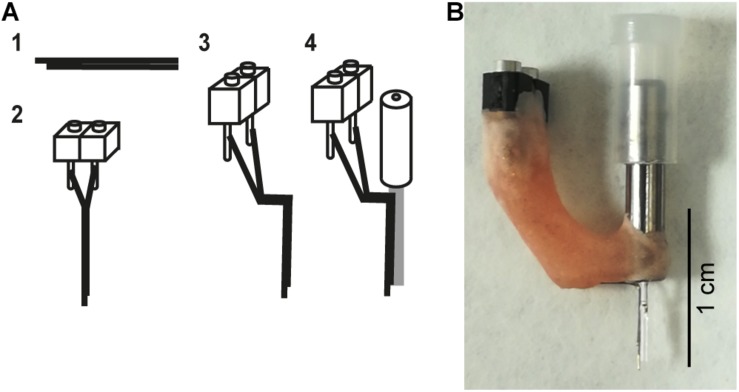 FIGURE 2