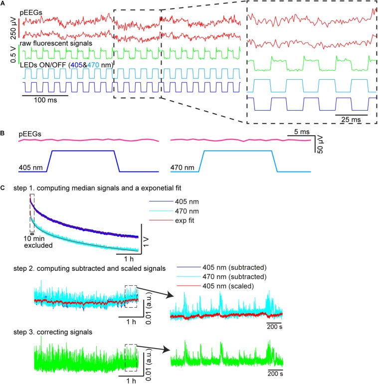 FIGURE 3