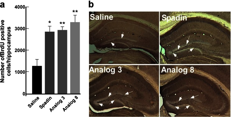 Fig. 7