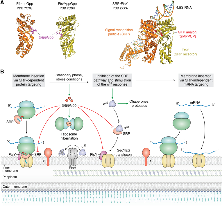 Figure 6