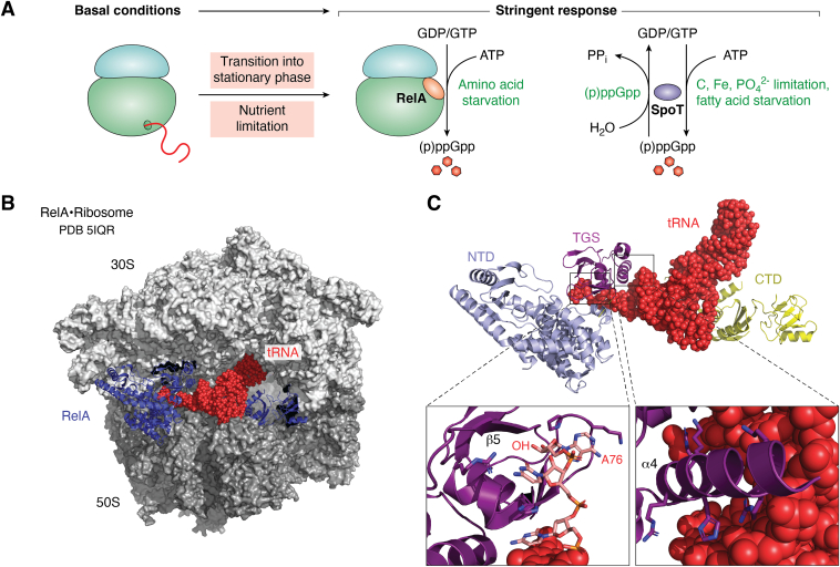 Figure 3