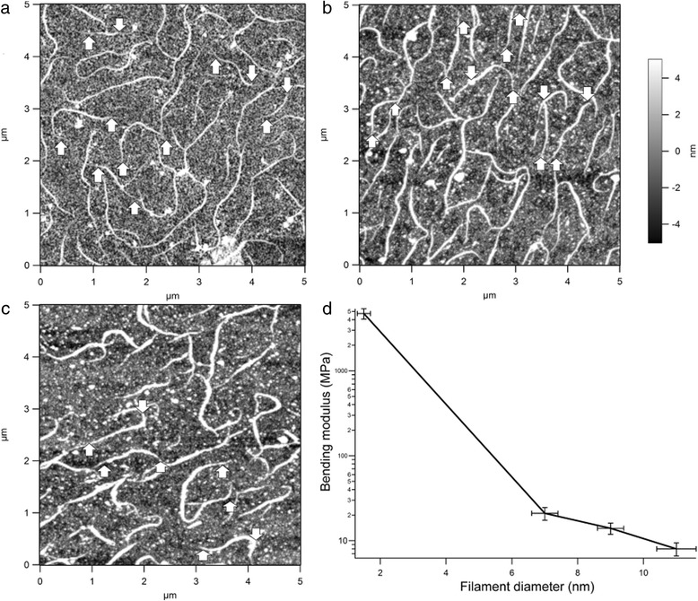 Fig. 8