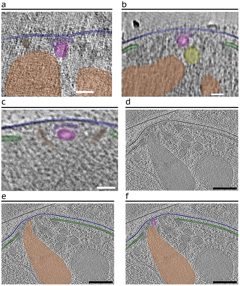 Extended Data Fig. 2