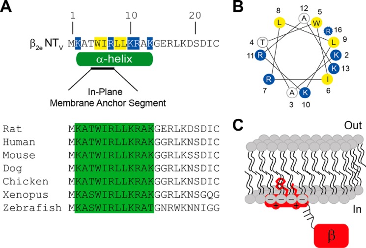 FIGURE 9.