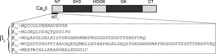 FIGURE 1.