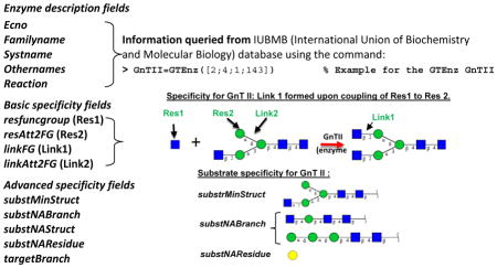 How can glycosyltransferase specificity be described in silico?