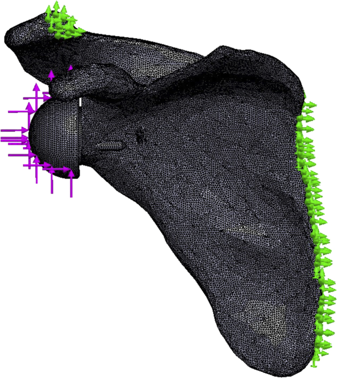 Figure 3