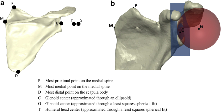 Figure 2