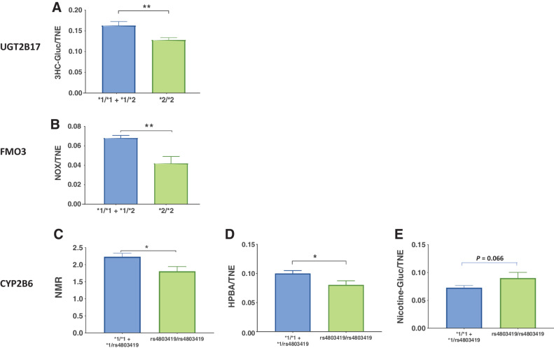 Figure 5. Urinary nicotine metabolites in subjects stratified by UGT2B17, FMO3, and CYP2B6 genotypes. A dominant model was used for all comparisons, with urinary nicotine metabolites compared in subjects homozygous for the minor allele versus subjects with at least one copy of the major wild-type allele. Allele designations have not been described for SNP rs48034419 in the CYP2B6 gene, so the rs number was used as the allele designation. *, P < 0.05; **, P < 0.01.