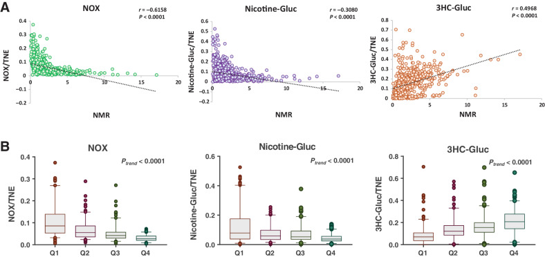 Figure 2. Analysis of NOX, nicotine-Gluc, and 3HC-Gluc levels in Chinese smokers. A, Scatterplots of urinary NMR (3HC/cotinine) versus urinary NOX, nicotine-Gluc, and 3HC-Gluc. All nicotine metabolites were measured as a ratio of total nicotine equivalents (TNE). Black lines indicate the linear regression line of the data. The Spearman's correlation coefficient and P values are shown on the graphs. B, Box plots of urinary NOX, nicotine-Gluc, and 3HC-Gluc, measured as a ratio with TNE, are shown for samples stratified by quartiles of urinary NMR. The horizontal lines within each box plots are median values, whereas individual dots are considered outliers.